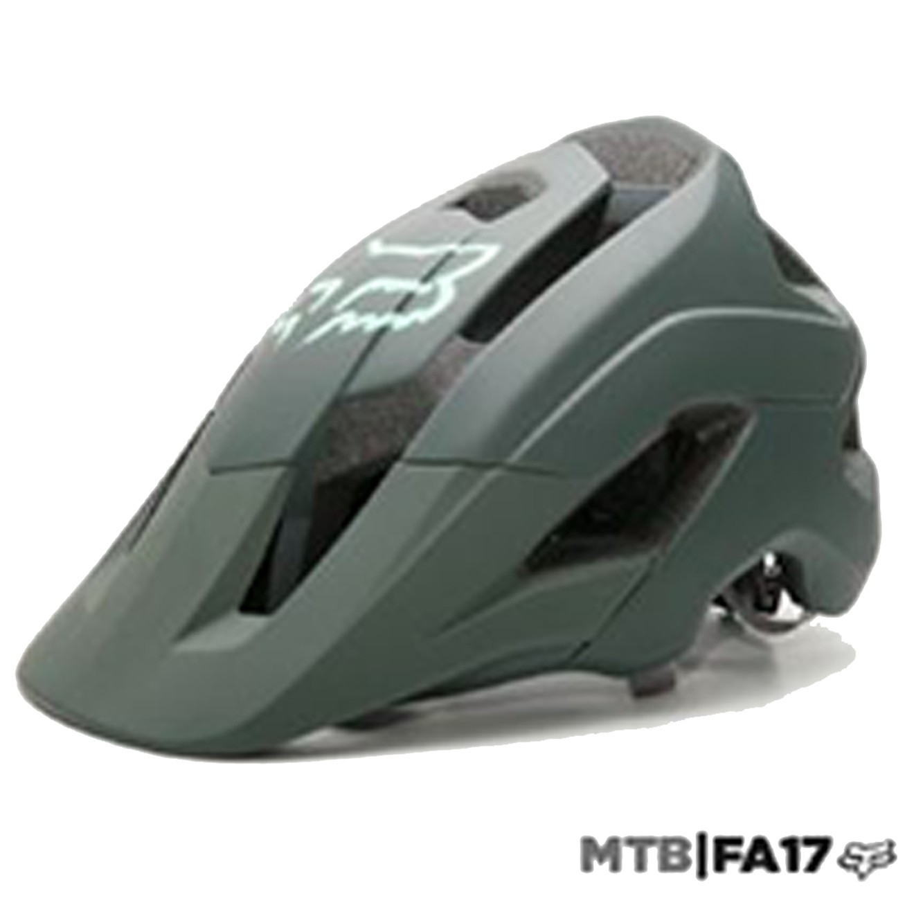 CASCO FOX METAH SOLIDS